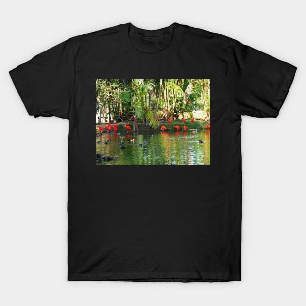 Scarlet ibis T-Shirt by FollowHedgehog